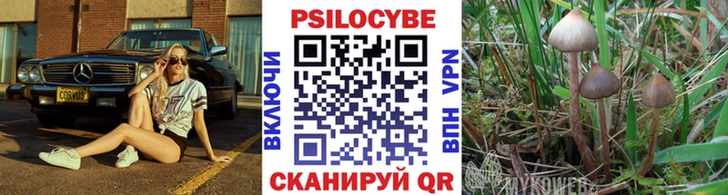 Галлюциногенные грибы Psilocybine cubensis Купить закладки Новосиль