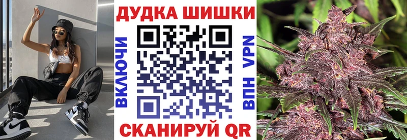Купить где  Новосиль  Бошки Шишки VHQ 